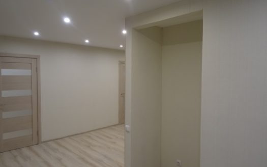 квартира с ремонтом (Заезжай и живи)