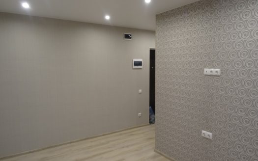 квартира с ремонтом (Заезжай и живи)