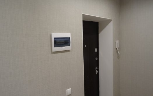 квартира с ремонтом (Заезжай и живи)