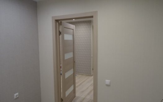 квартира с ремонтом (Заезжай и живи)