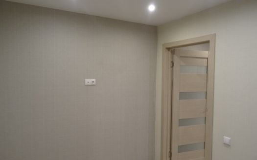 квартира с ремонтом (Заезжай и живи)