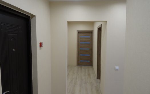 2ИП с отличны ремонтом (заезжай и живи)