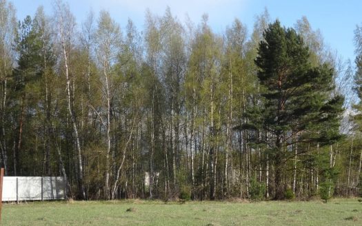 Земельный участок в д. Песочнево