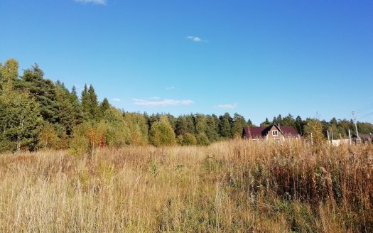Земельный участок в живописном месте (д. Зеленый городок)