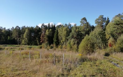 Земельный участок в живописном месте (д. Зеленый городок)